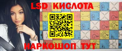 гашик Владимир