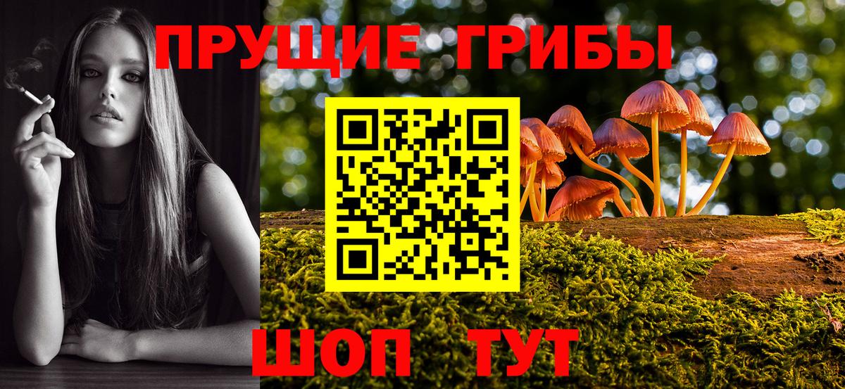 Галлюциногенные грибы Psilocybine cubensis Орск